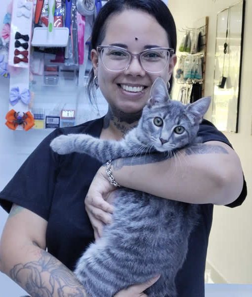 Peluquería para gatos Mariale